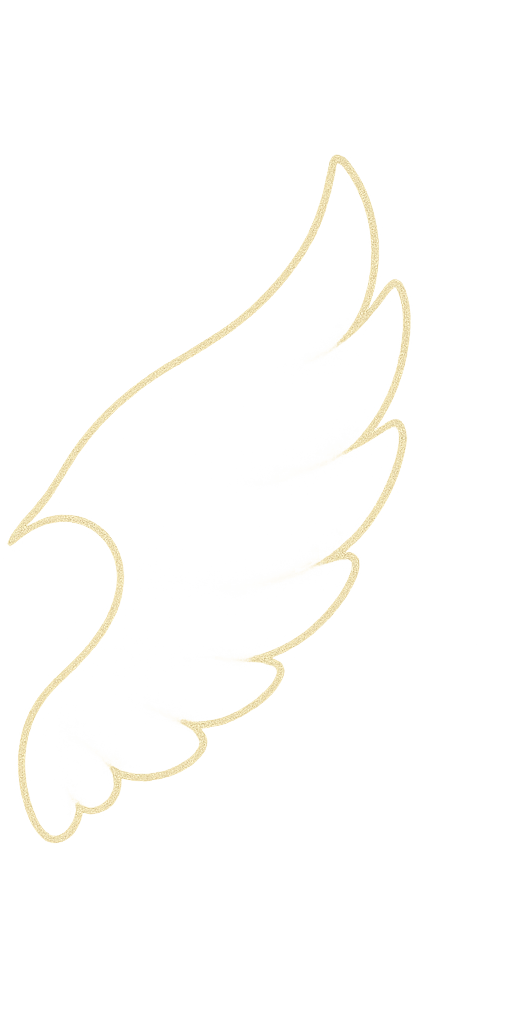 Right Wing